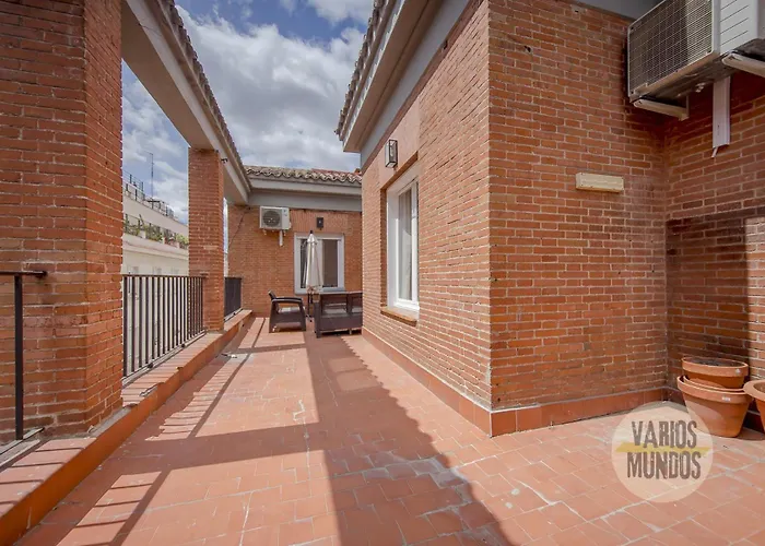 APT 36 - Atico x9 pax con gran terraza en el La Latina